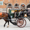 Buggied Out Photo: A tourist horse and buggy glide past the belfry on Grote Markt.