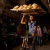 Bread Head Photo: A bicycle bread delivery guy rides through the Tentmaker's Bazaar (Souq Al-Khiamiyya) in Islamic Cairo, Egypt (ARCHIVED PHOTO on the weekends - originally photographed 2010/10/19).